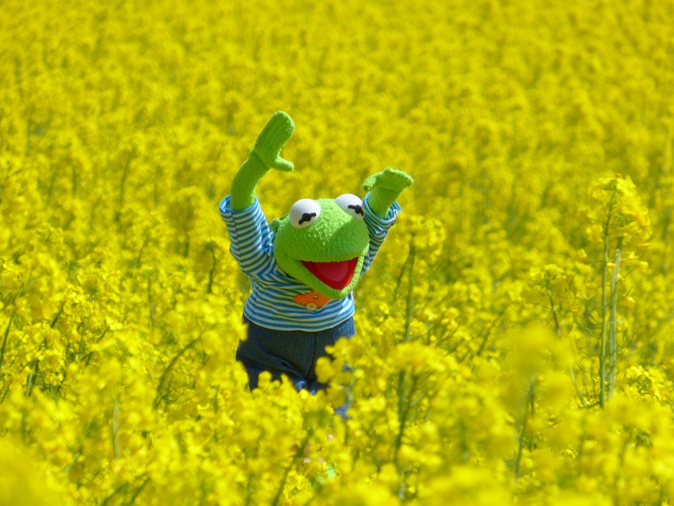kermit-champs