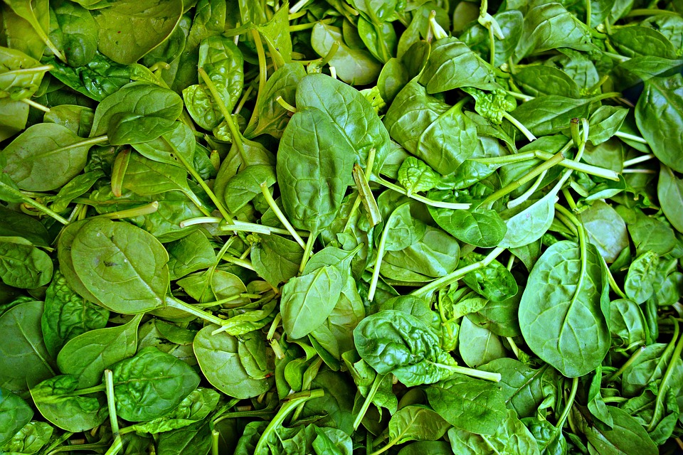 spinach-1522283_960_720