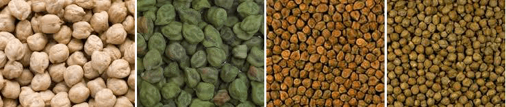 diversite-varietes-pois-chiche-top-semences